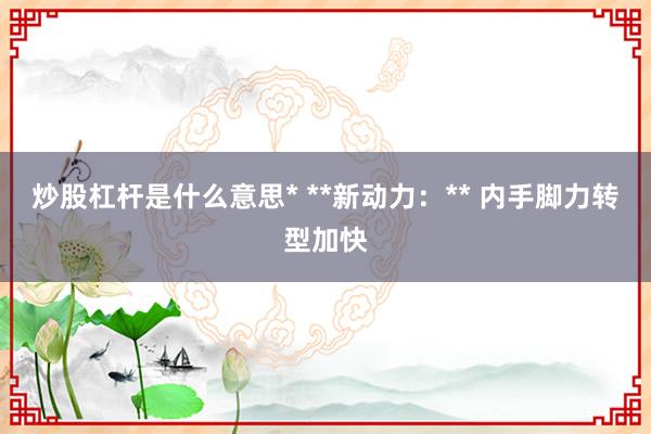 炒股杠杆是什么意思* **新动力：** 内手脚力转型加快