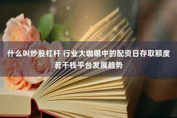 什么叫炒股杠杆 行业大咖眼中的配资日存取额度若干钱平台发展趋势